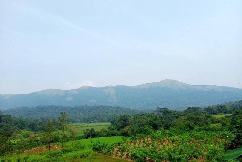Himani Heritage Resorts, Formerly Camp Nishani Holidays Madikeri Exterior foto